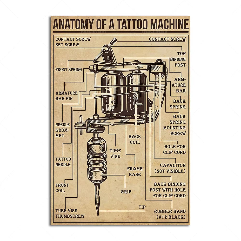 Tattoo Anatomy Poster, Tattoo Art, Gift, Tattoo Wall Art, Tattoo Poster, Tattoo Shop Decoration